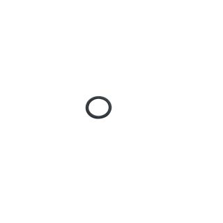 O-Ring /Servopumpe