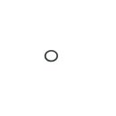 O-Ring /Servopumpe