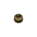 Thermostat FJ